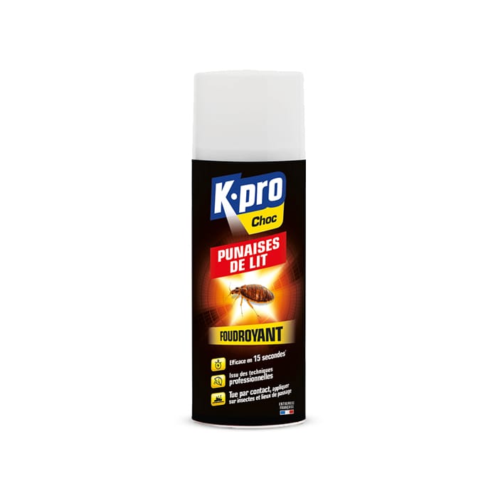 Aérosol foudroyant punaises de lit Kapo 400ml