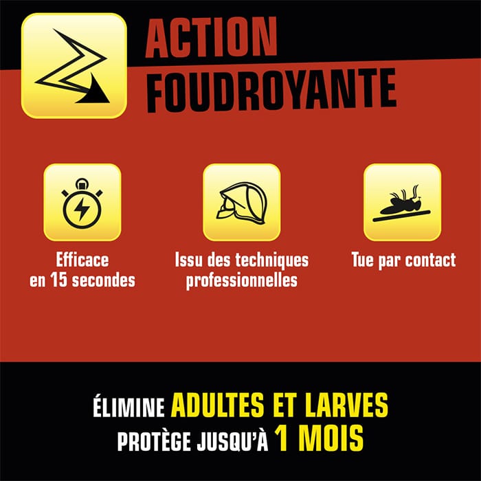Aérosol foudroyant punaises de lit Kapo 400ml