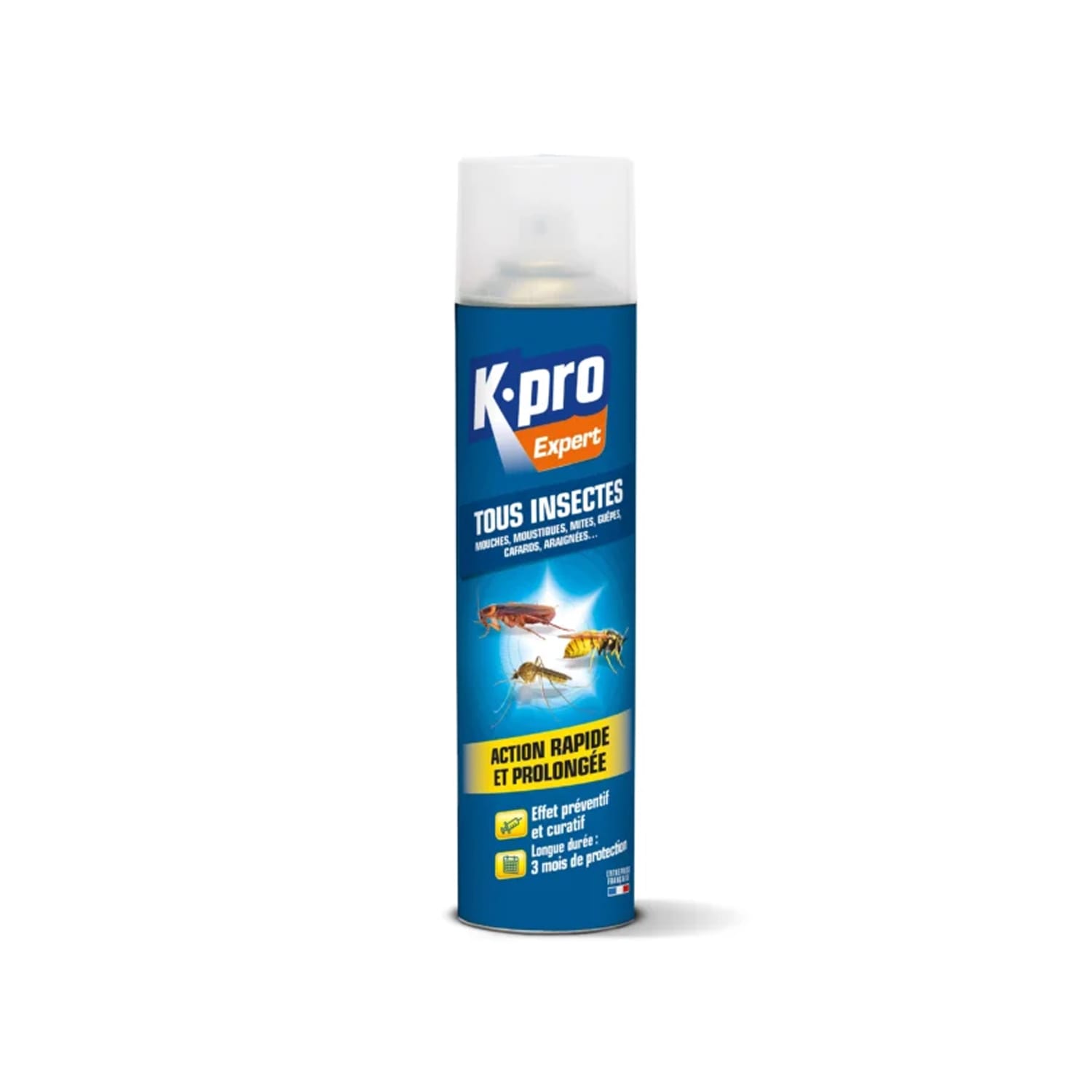 Aérosol tout insecte K.pro Expert 300ml