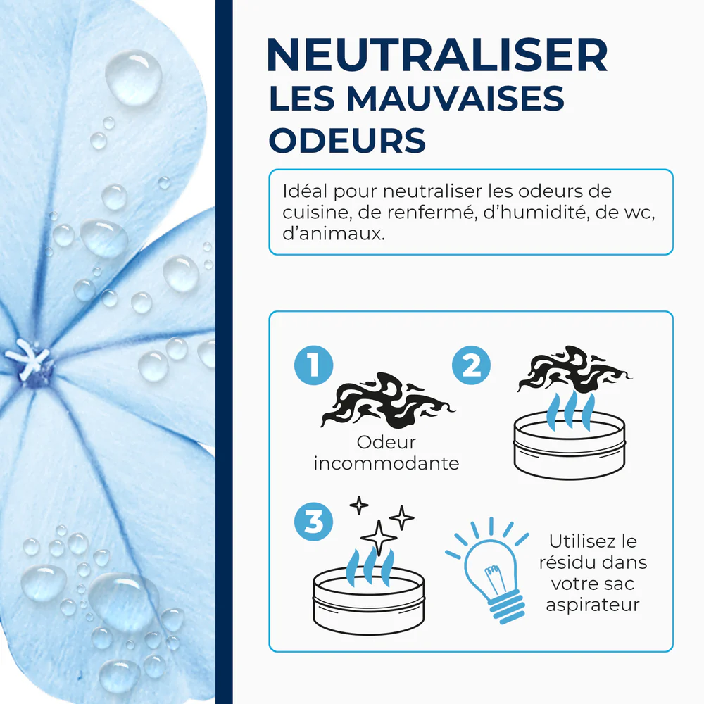 Destructeur d'odeurs Starwax 300g